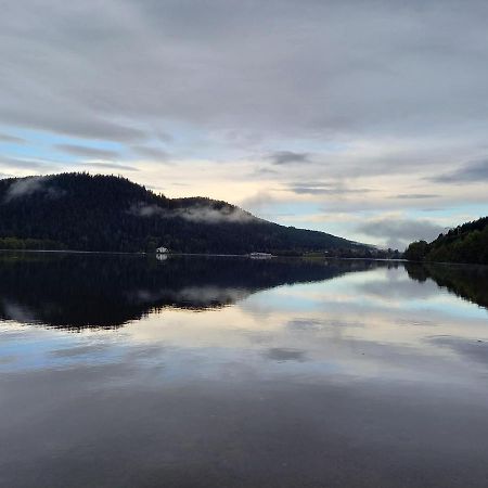 Entre Montagne Et Lac Gérardmer Kültér fotó