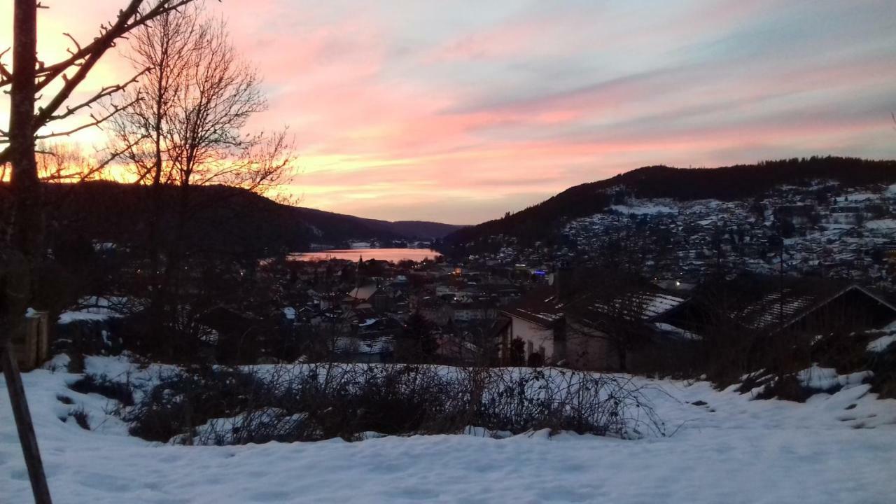 Entre Montagne Et Lac Gérardmer Kültér fotó